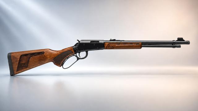 Savage Revel DLX .22 LR