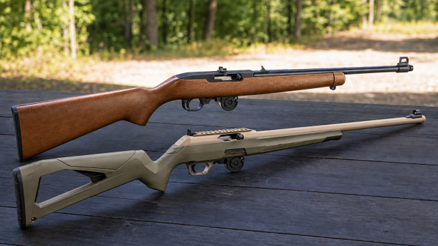 Ruger 10/22 a winchester wildcat