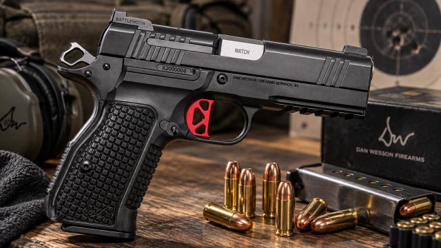 Dan Wesson DWX Compact OR