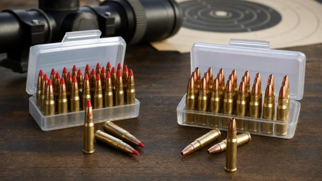 Porovnanie nábojov .17 HMR so 17 gr polymérovou a 20 gr dutinovou strelou.