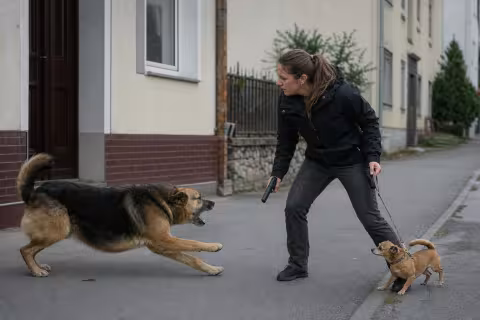Človek chráni menšieho psa pred útočiacim veľkým psom na mestskej ulici.